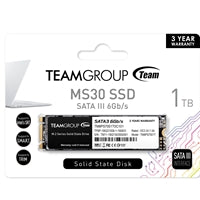 Team MS30 1TB