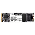 Team MS30 256GB