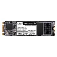 Team MS30 256GB